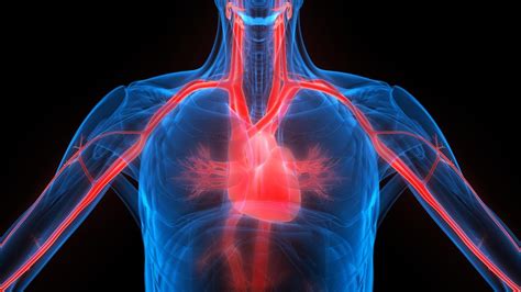 Sinais e sintomas de doenças cardíacas