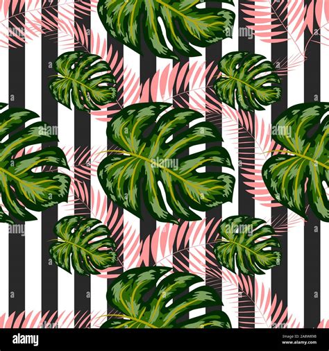 Seamless Pattern With Tropical Leaves Palms Monstera Banana Leaves
