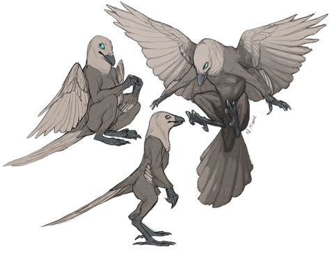 Anthro Crows — Weasyl Creature Feature Creature Design Creature Art