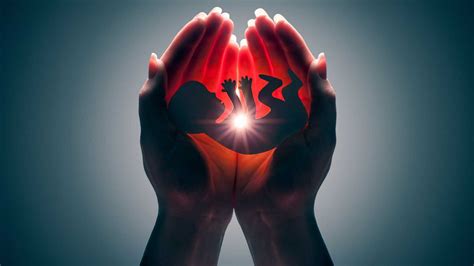 Cardeal Orani Faz Um Alerta Sobre A Imin Ncia Da Aprova O Do Aborto No