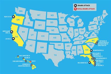 Map Of All The Us Shark Attacks In 2019