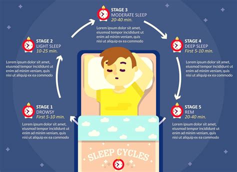 Five Stages Of Sleep Cycle