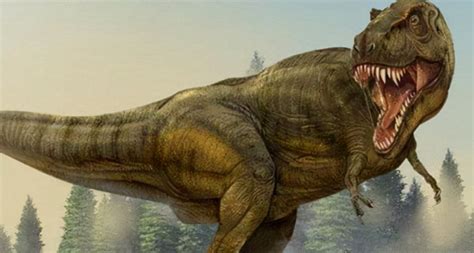Top 10 Strongest Dinosaurs In The World Imedia