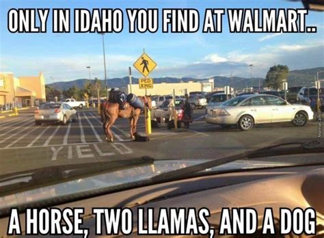 10 Downright Funny Memes Youll Only Get If Youre From Idaho Idaho