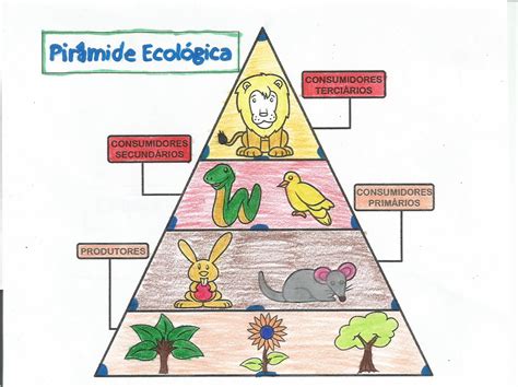 Piramide De Ecosistema Hot Sex Picture