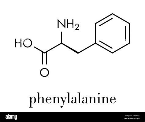 Phenylalanine L Phenylalanine Phe F Amino Acid Molecule Skeletal