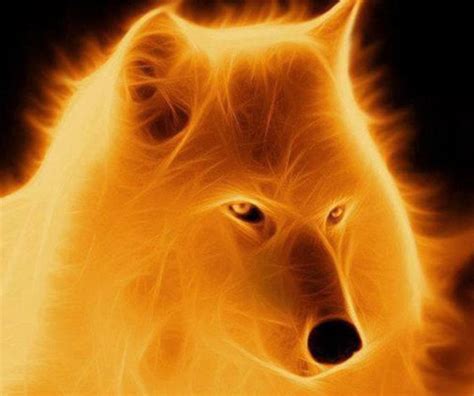 Fire Wolves Wallpapers Top Free Fire Wolves Backgrounds Wallpaperaccess