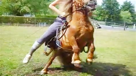 Girl Small Pony Riding Live Riding Lovers Official Youtube
