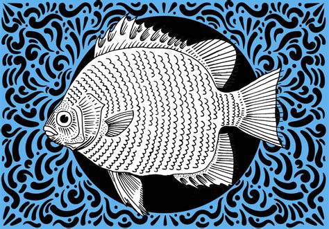 Ornate Fish Design 142953 Vector Art At Vecteezy