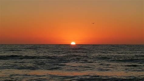 Sunset Ocean Beach Pacific Free Photo On Pixabay Pixabay