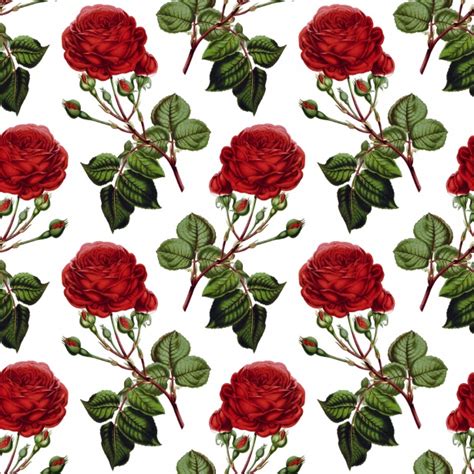 Use them in commercial designs under lifetime, perpetual & worldwide rights. Roses Background Vintage Wallpaper Free Stock Photo ...