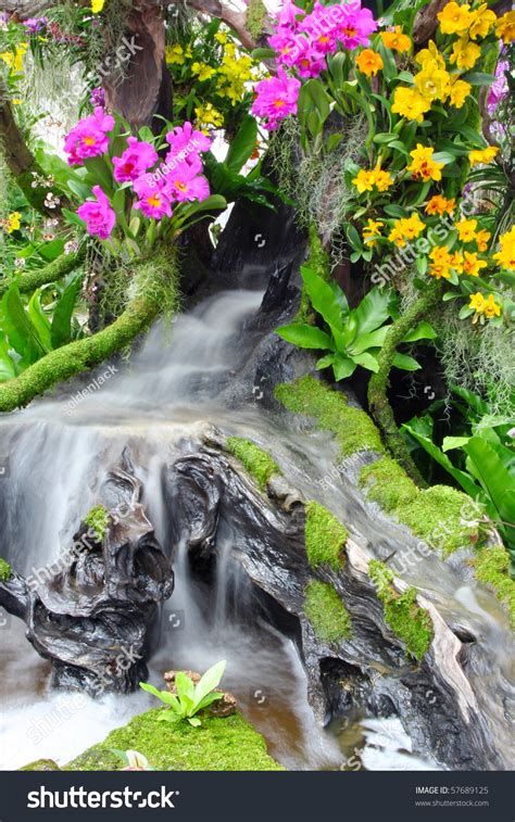Beautiful Flowers Waterfall Stock Photo 57689125 Shutterstock