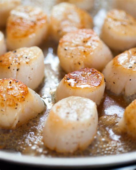 How To Cook Scallops On The Stovetop Recipe How To Cook Scallops Recipes Scallop Recipes