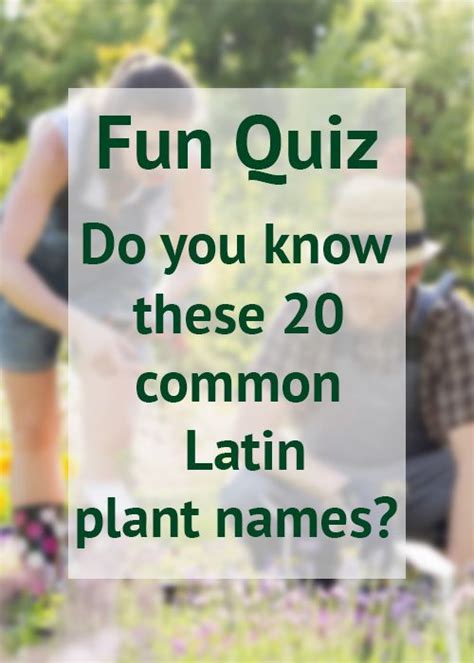 Quiz What Do These Common Latin Plant Names Mean