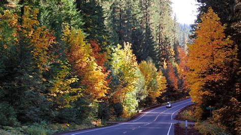 Guide To Fall Foliage In Oregon Travel Oregon