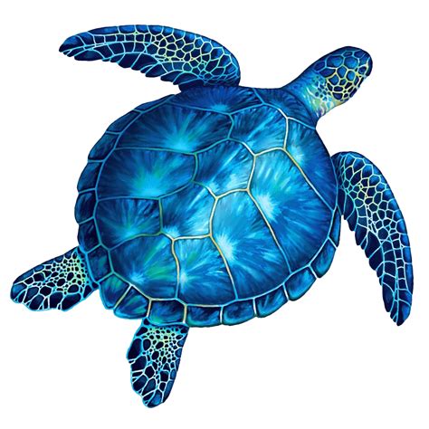 Turtle Png Images Transparent Background Png Play