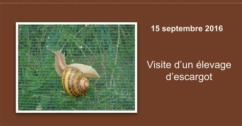 Septembre Visite Levage D Escargots Google Slides