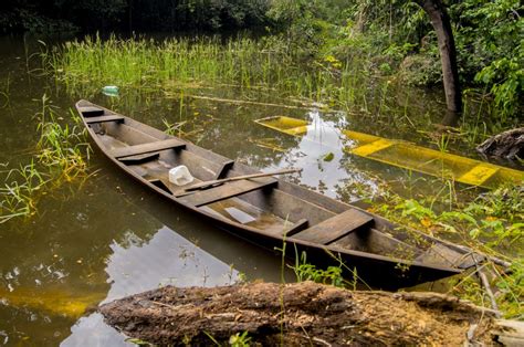 Images Gratuites Bateau Amazonas Manaus Transport Par Eau La Nature Bateau V Hicule