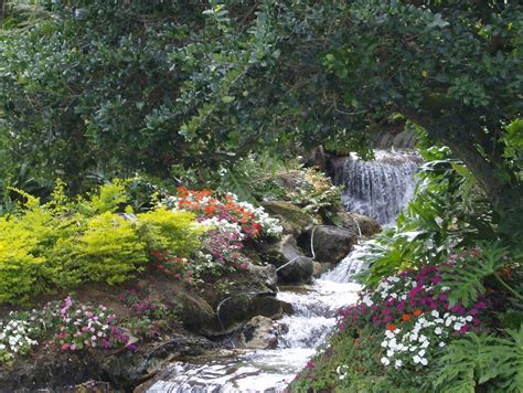 Flower Garden With Waterfall By Linda Bennett Flower Garden With
