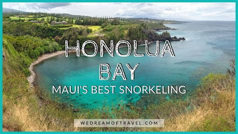 🤿 Honolua Bay 2023 Guide To Mauis Best Snorkel Spot