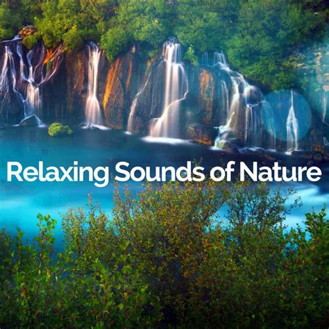 Relaxing Sounds Of Nature Spotify