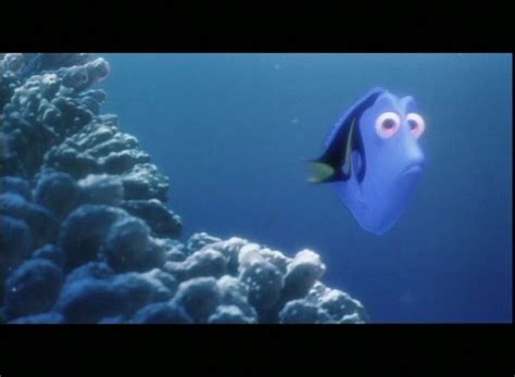 Findet Nemo Film 2003 · Trailer · Kritik · Kinode