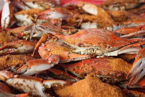 John Soulé The Maryland Blue Crab A Treasure In Troubled Waters