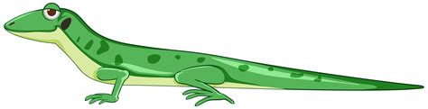 Lizard Cartoon Vector Art Icons And Graphics For Free Download