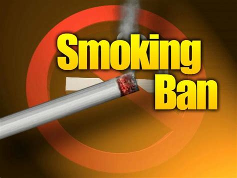Jennie Boisvert Councillor For Clarence Park Ward Smoking Bans Imminent