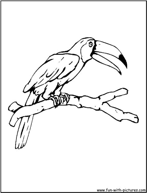 Toucan is a free chrome extension that helps you learn a language without even trying. Birds Coloring Pages - Free Printable Colouring Pages for ...