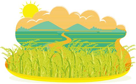 Rice Field Clipart