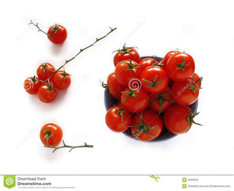 Still Life With Tomatoes Royalty Free Stock Photos Image