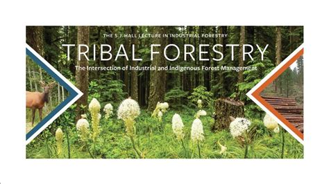 Tribal Forest Management The Intersection Of Industrial And Indigenous