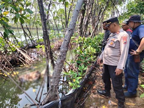 Pemalang Geger Jasad Perempuan Berseragam Pramuka Ditemukan Di Sungai