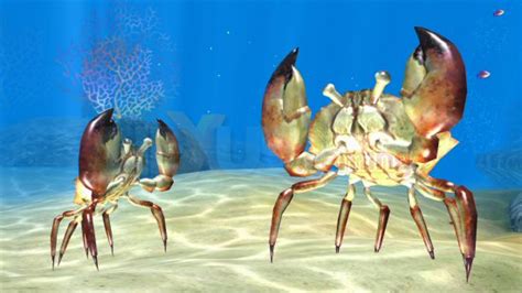 Experience Wind And Crabs On Xbox 360 This Week Xbox 360 News