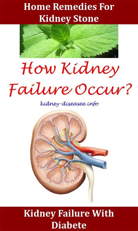 Kidney Disease Link | Kidney disease, Kidney infection ...