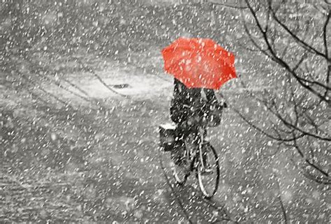 In The Snow Red Umbrella Umbrella Monochrome Photograph