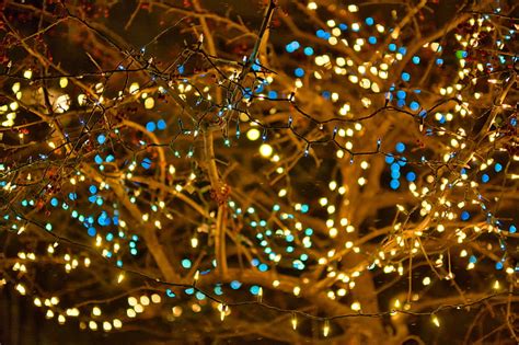 1920x1080px 1080p Free Download Garland Lights Branches Bokeh