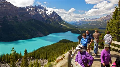 Mountain Pictures View Images Of Peyto Lake