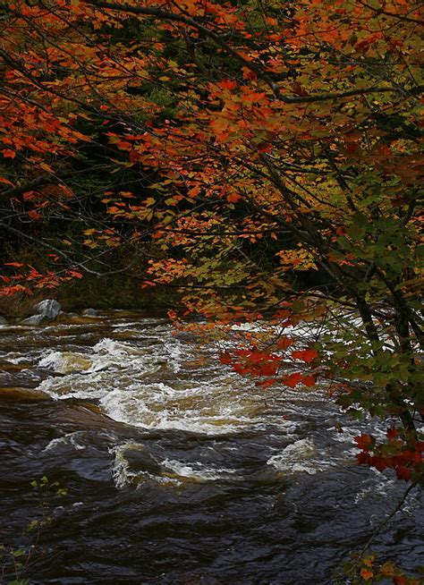 Swift River In Fall Photograph By Jon Reddin Photography Pixels