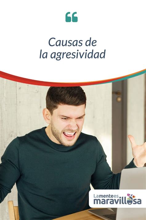 Causas De La Agresividad Emocional Frustración Consultorios Psicologia