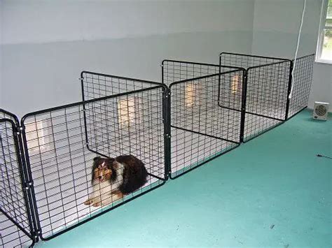 30 Best Indoor Dog Kennel Ideas The Paws