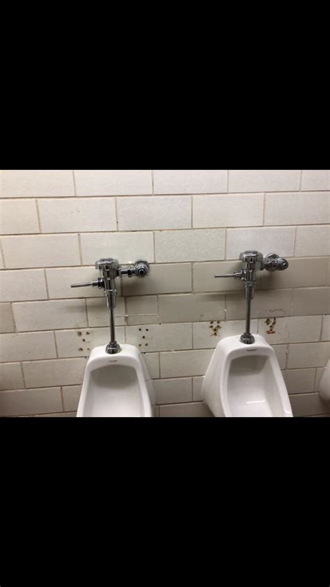My School Bathroom Removed The Dividers Rmildlyinfuriating