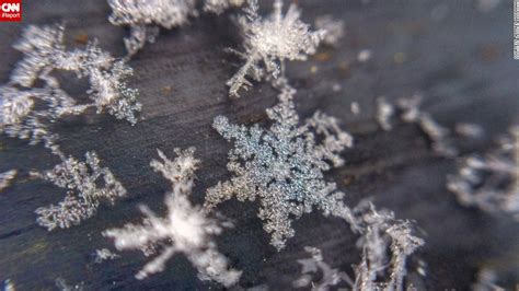 Photos Intricate Delicate Stunning Snowflakes Up Close