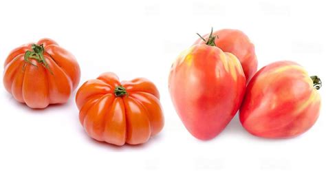 Know Your Italian Tomatoes Cuore Di Bue Italian Oxheart