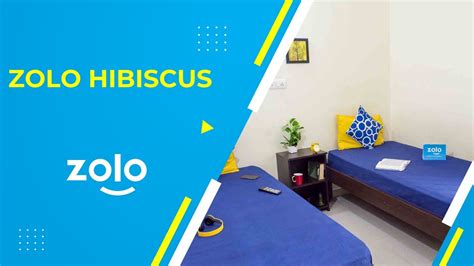 Zolo Hibiscus Pg In Btm Layout Zolo Co Living Youtube