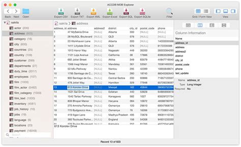 Accdb Mdb Explorer Tool To Read View Export Accdb And Mdb Files On