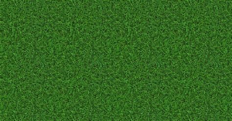 High Resolution Textures Grass Choppy Green Seamless Texture