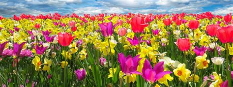 Download in under 30 seconds. May Playlist: Tunes to celebrate the spring season - UNCSA