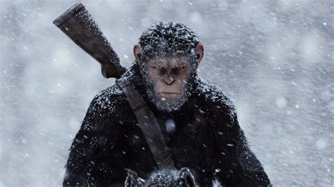 Caesar Planet Of The Apes Protagonists Wiki Fandom Powered By Wikia